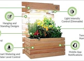 IoT to grow your own sustainable garden in a small space