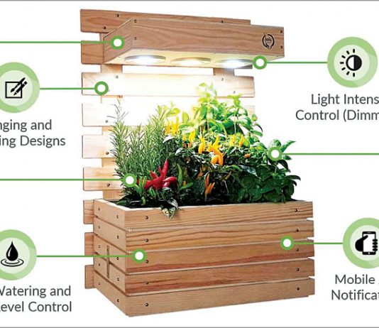 IoT to grow your own sustainable garden in a small space