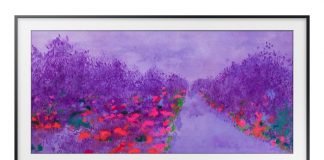 Samsung India Puts Up The Frame TV on Sale