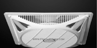 Fanzart Aims to Double its Presence in India by 2020