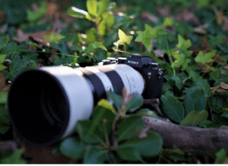 Sony Launches Alpha A9 II Mirrorless Full Frame Camera